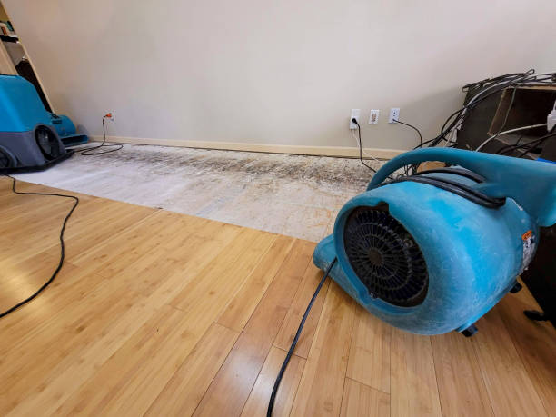 Professional Water Damage Repair technician working in Essex, CA